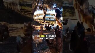 Le remboursement comme outil d’emprise: comment le système  élimine les médecines naturelles