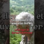 Les Humains et les Mauvaises herbes avec Bernard Bertrand #jardin #permaculture