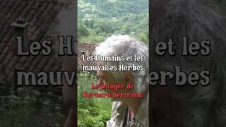 Les Humains et les Mauvaises herbes avec Bernard Bertrand #jardin #permaculture