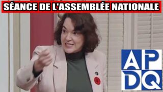 âïž PL109 : Ă©quilibre entre libertĂ©, quotas et dĂ©couvrabilitĂ© đ âïž PL109 : Ă©quilibre entre libertĂ©, quotas et dĂ©couvrabilitĂ© đ