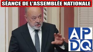 🩺 PL2 : Médecins, IPS, gestion — le nouvel équilibre