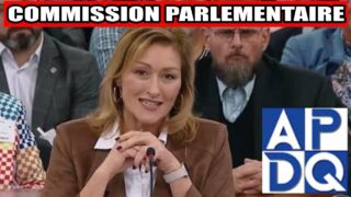 🔥 PL3 de Boulet: ingérence politique dans les syndicats?