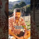 Pourquoi je n’œuvre pas pour l’argent :vocation, dette à la vie et persévérance face aux attaques