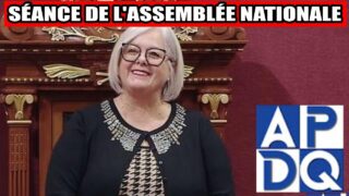📜 Règles, motions, rappels à l’ordre : séance pas comme les autres