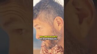 RGNR, c’est … C comme Connaissance (partie 1) RGNR, c’est … C comme Connaissance (partie 1)