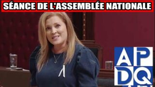 💥 Séance explosive: PL7, PL108, PL111 sur la sellette