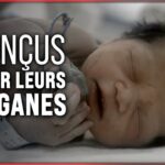 Transplantations d’organes de nourrissons : Les atrocités cachées de la Chine
