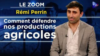 Un consultant agricole attaque la transition écologique – Le Zoom – Rémi Perrin – TVL