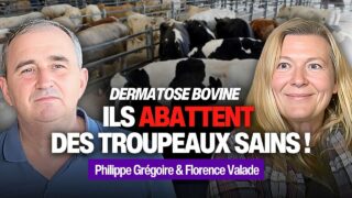 Abattages et vaccination : le cri d’alarme des agriculteurs | Florence Valade & Philippe Grégoire Abattages et vaccination : le cri d’alarme des agriculteurs | Florence Valade & Philippe Grégoire