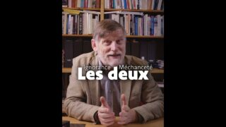 Comprendre Israël–Palestine commence par les bases. Comprendre Israël–Palestine commence par les bases.