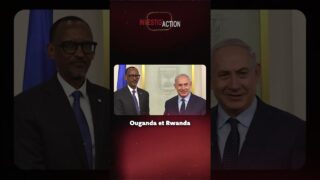 Congo #3 : Israel et dimants