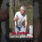 De l’urine au jardin #jardin #permaculture De l’urine au jardin #jardin #permaculture