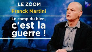 Démocraties libérales : le consentement par la peur – Le Zoom – Franck Martini – TVL