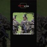 Des drones russes partout? Des drones russes partout?