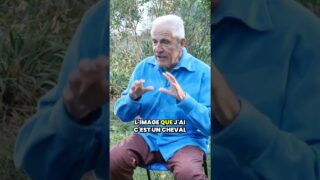 Hommage à Tal Shaller – Short #1 – « La santé, ça s’apprend ! »