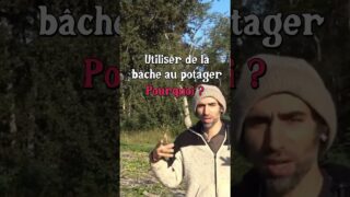 La bâche au potager ?  #agriculture #jardin