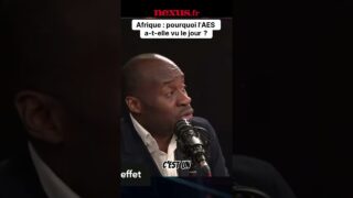 L&rsquo;Afrique dit NON à l&rsquo;ami imposé ! Le coup de maître de l&rsquo;AES.