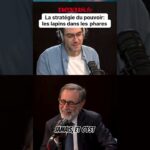 Les lapins dans les phares : La métaphore pour décrypter la stratégie du pouvoir