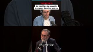 Les lapins dans les phares : La métaphore pour décrypter la stratégie du pouvoir