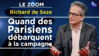 « Parisiens en exil » : un confinement pour rire – Le Zoom – Richard de Seze – TVL