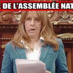 đș PL109 vs les gĂ©ants du web : lâAssemblĂ©e sort les griffes đș PL109 vs les gĂ©ants du web : lâAssemblĂ©e sort les griffes