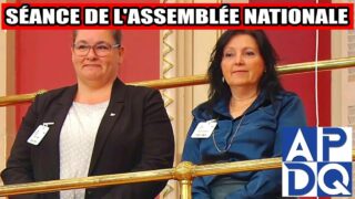 🔥 PL2 & PL16: recul ou stratégie? Québec s’explique… 🔥 PL2 & PL16: recul ou stratégie? Québec s’explique…