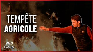 Politiques sanitaires : le coup de grĂące pour les agriculteurs ? Politiques sanitaires : le coup de grĂące pour les agriculteurs ?