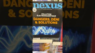 🗞️🚨 Qui dit fêtes de fin d&rsquo;année dit très bonne nouvelle pour vous !