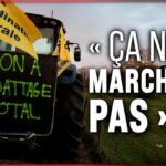 Révolte des éleveurs face à la stratégie d’abattage systématique. Annonce de vaccination massive Révolte des éleveurs face à la stratégie d’abattage systématique. Annonce de vaccination massive