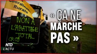 Révolte des éleveurs face à la stratégie d&rsquo;abattage systématique. Annonce de vaccination massive