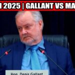 ⚡ BILAN 2025 | GALLANT VS MALENFANT