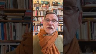 Bon et mauvais manifestants en Iran