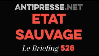 ÉTAT SAUVAGE 9.1.2026 — Le briefing avec Slobodan Despot