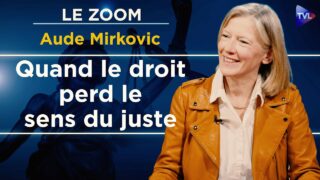Le droit naturel, une ressource contre l’arbitraire – Le Zoom – Aude Mirkovic – TVL