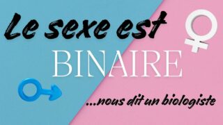 Le sexe est binaire – François Chapleau, professeur de biologie à l&rsquo;université d&rsquo;Ottawa