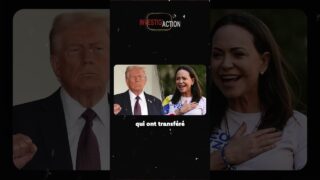 Le véritable crime : Le pétrole Le véritable crime : Le pétrole