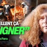 Pourquoi soigner les symptômes nous rend plus malades (humains et animaux) ? Nayla Cherino Parra