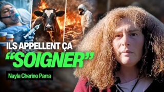 Pourquoi soigner les symptômes nous rend plus malades (humains et animaux) ? Nayla Cherino Parra