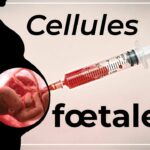 Un lien entre vaccins et avortement ? | Vérité et Vie avec Georges Buscemi