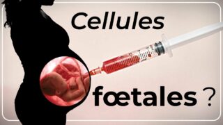 Un lien entre vaccins et avortement ? | Vérité et Vie avec Georges Buscemi