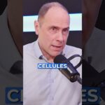 Vaccins et avortement : un lien troublant que vous devez connaître Vaccins et avortement : un lien troublant que vous devez connaître