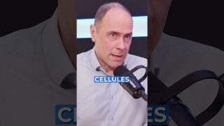 Vaccins et avortement : un lien troublant que vous devez connaître