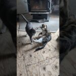 22 février 2026 22 février 2026