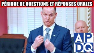 👴💥 Des aînés retournent travailler… en 2026?!