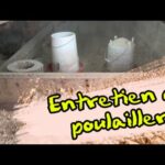 Entretien du poulailler