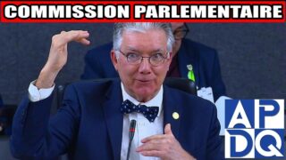 💥 PL1: Turp démonte la « constitution » de la CAQ!