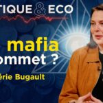 Une révolution contre l&rsquo;oligarchie financière ? Politique & Eco avec Valérie Bugault – TVL