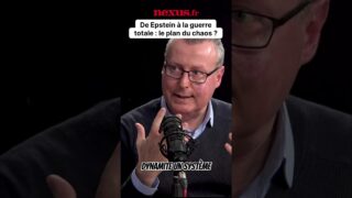 Affaire Epstein : le fusible pour parvenir à un chaos programmé ?