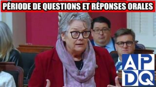 ☠️ Arsenic, avortements, aide sociale : la CAQ gère tout mal ☠️ Arsenic, avortements, aide sociale : la CAQ gère tout mal