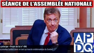 🔥 “Des chenilles, pas des papillons”: attaque frontale